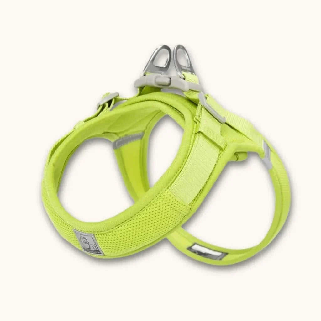 Harnais petit chien en T – chiot dès 2 mois et petites races Jaune / XXS