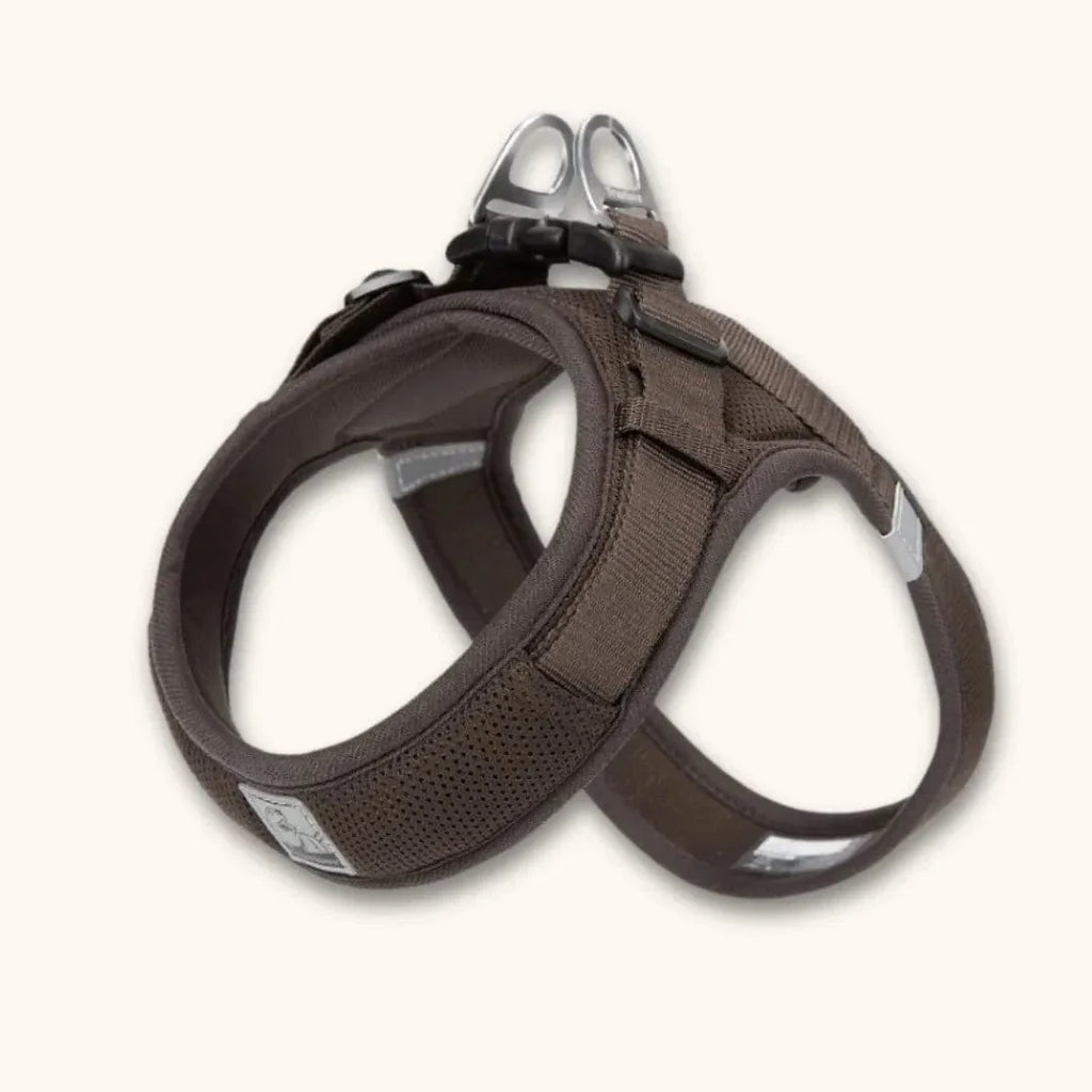 Harnais petit chien en T – chiot dès 2 mois et petites races Marron / XXS