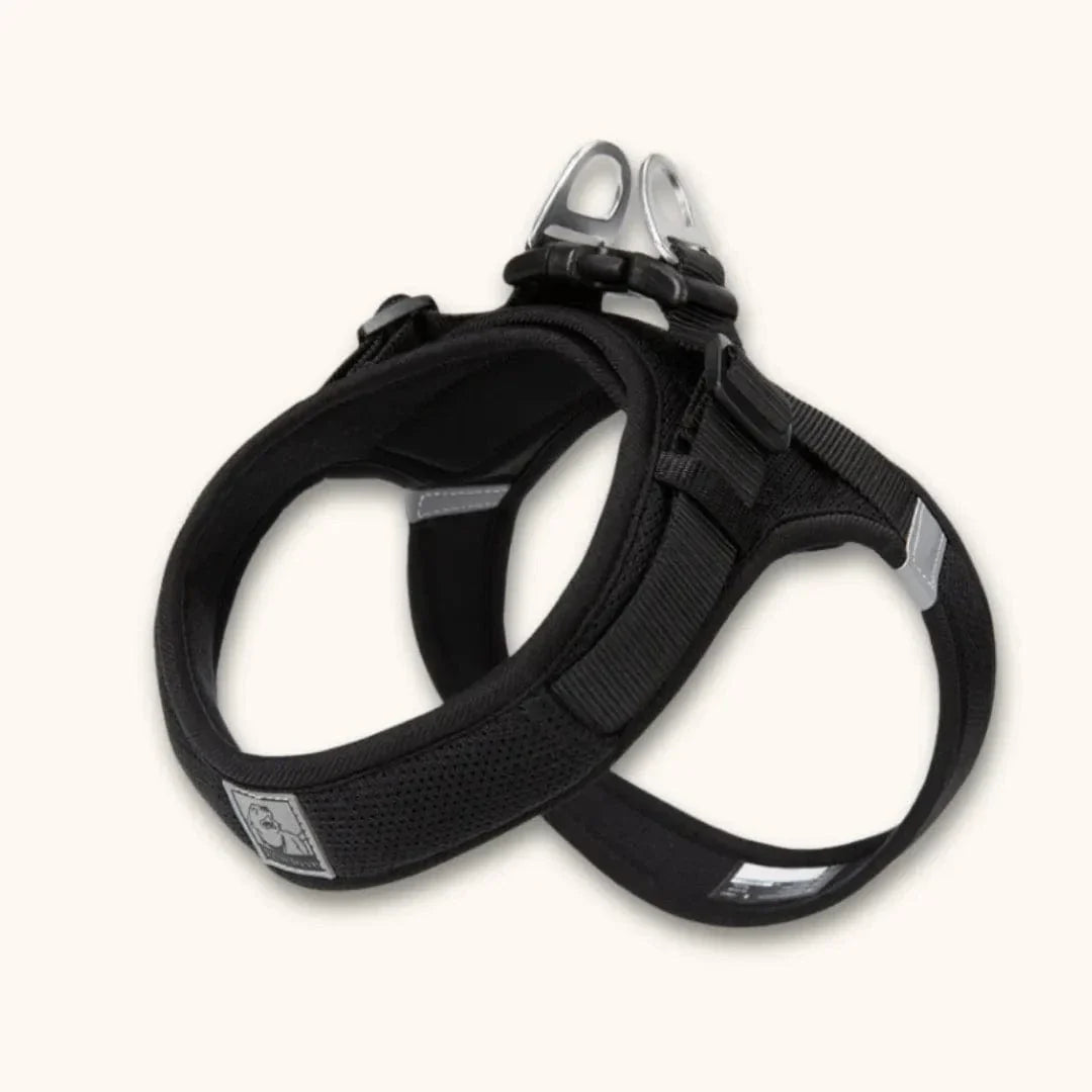 Harnais petit chien en T – chiot dès 2 mois et petites races Noir / XXS
