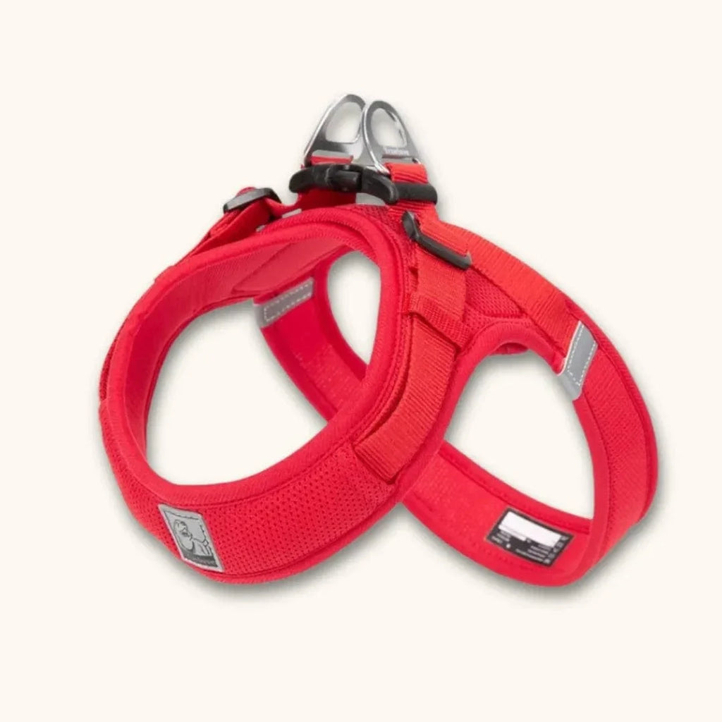 Harnais petit chien en T – chiot dès 2 mois et petites races Rouge / XXS