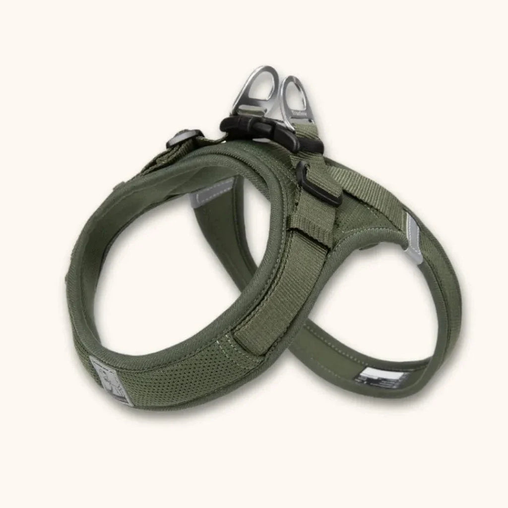 Harnais petit chien en T – chiot dès 2 mois et petites races Vert Militaire / XXS