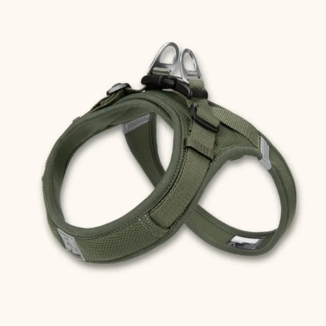 Harnais petit chien en T – chiot dès 2 mois et petites races Vert Militaire / XXS