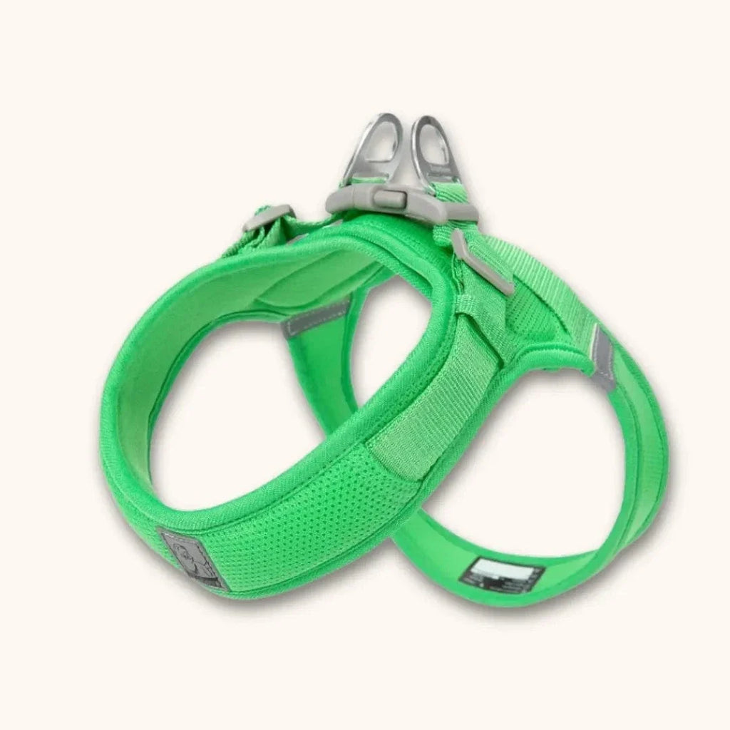 Harnais petit chien en T – chiot dès 2 mois et petites races Vert / XXS