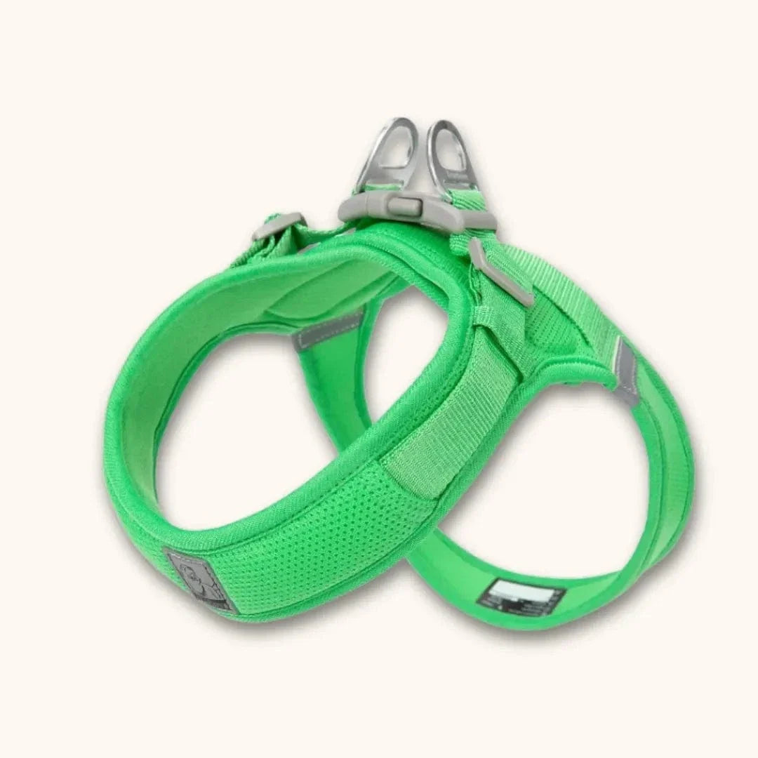 Harnais petit chien en T – chiot dès 2 mois et petites races Vert / XXS