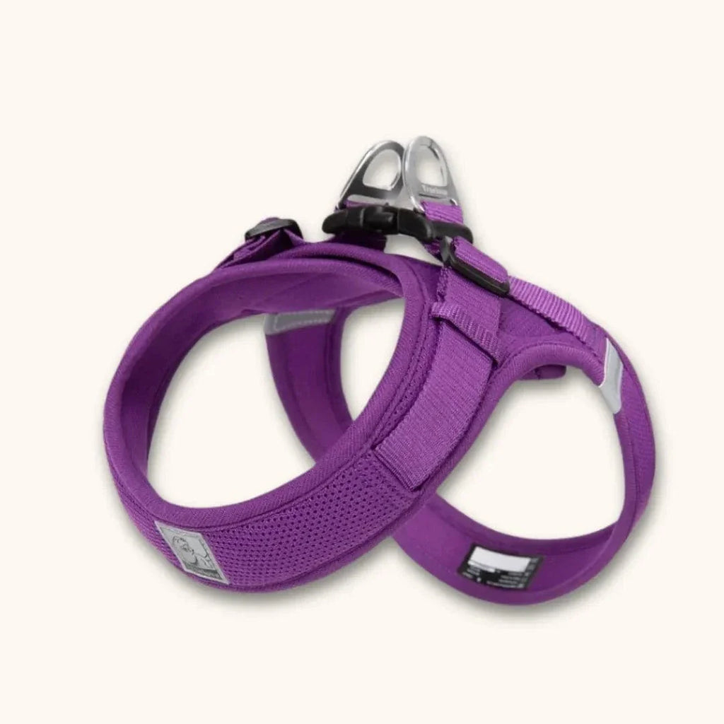 Harnais petit chien en T – chiot dès 2 mois et petites races Violet / XXS