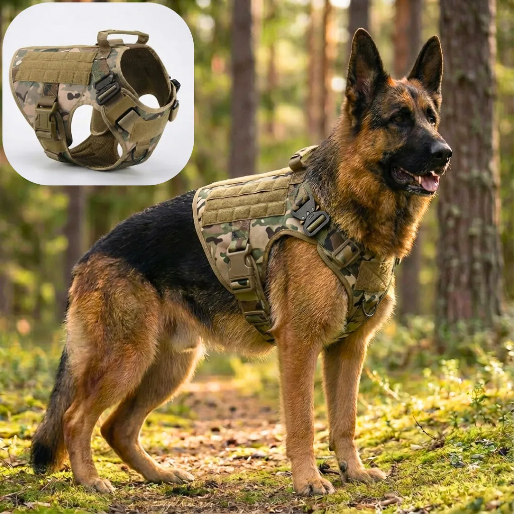 Harnais tactique chien - TactiK9 Pro | Atelier Canin Camo Élite / S