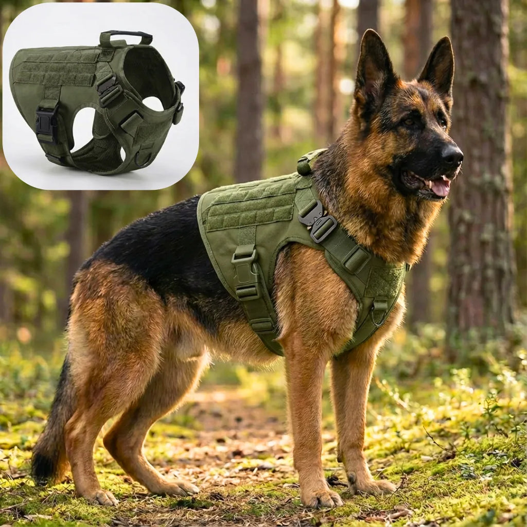 Harnais tactique chien - TactiK9 Pro | Atelier Canin Vert Commando / S