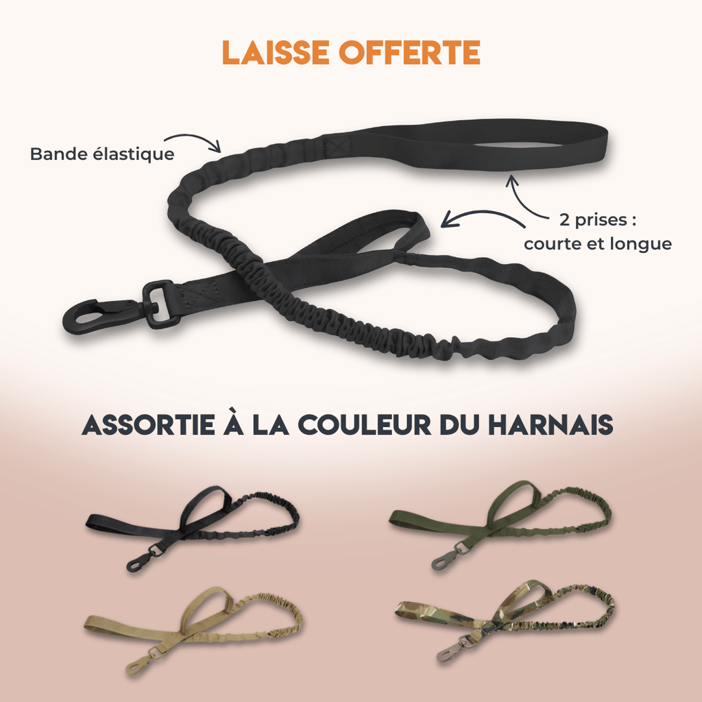 Harnais tactique chiot - TactiK9 mini : pour les petits chiens prêts à tout