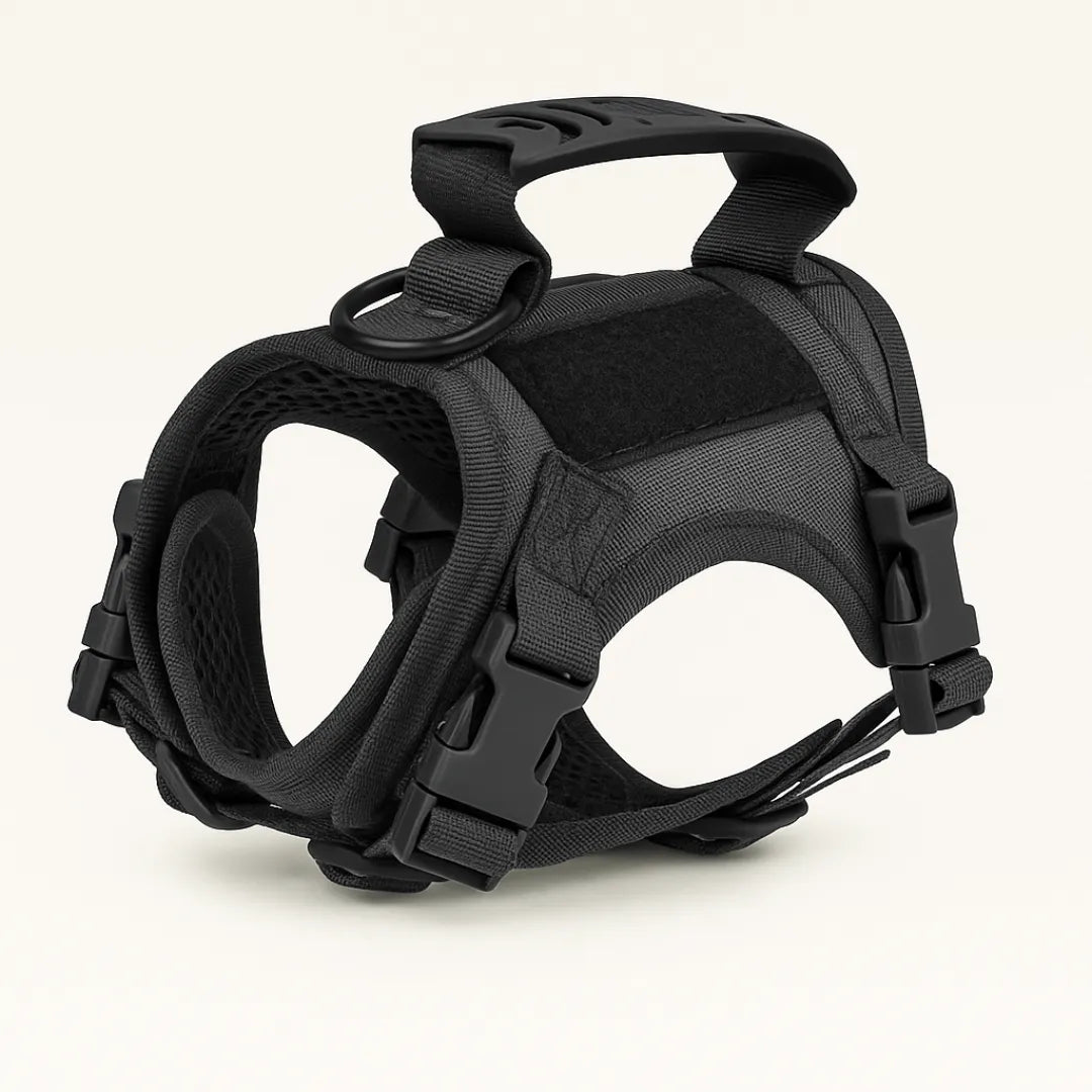 Harnais tactique chiot TactiK9 mini | Style & sécurité Noir Ébène