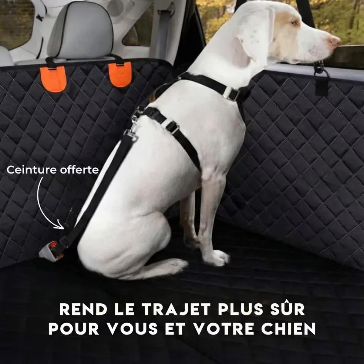 Housse de voiture pour chien - K9 GuardShield : protection intégrale