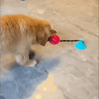 Jouet Corde Chien - CordOmax : Seul ou à Deux