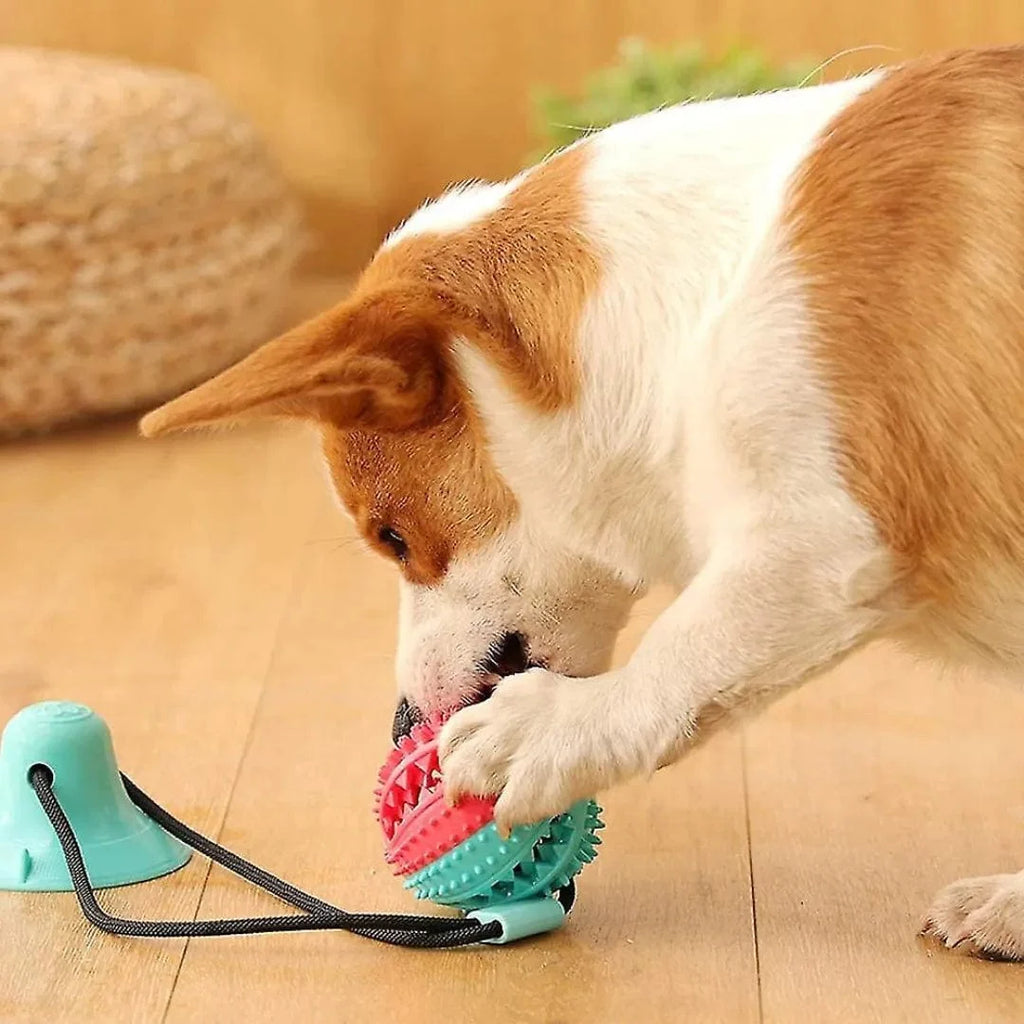 Jouet Corde Chien - CordOmax : Seul ou à Deux