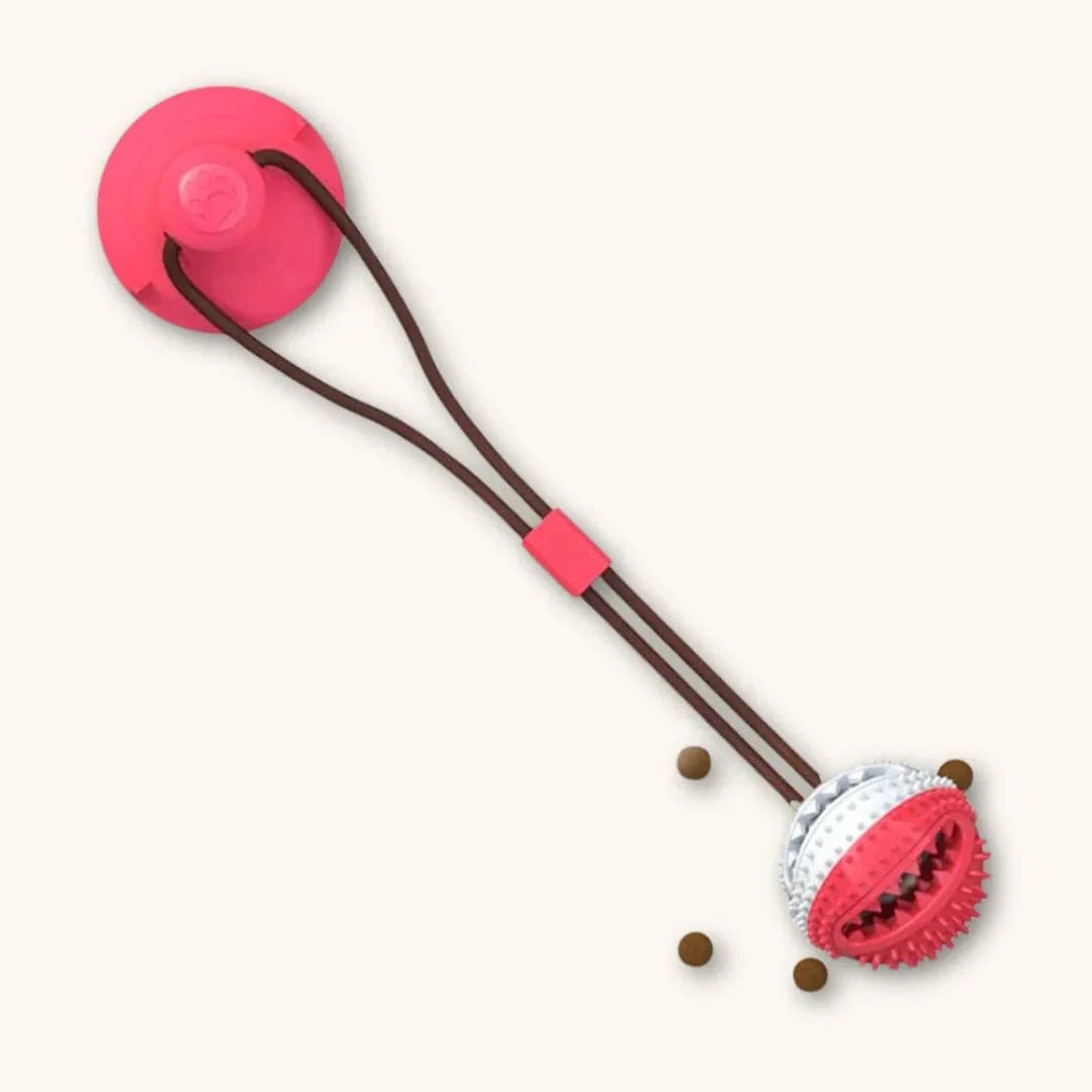 Jouet Corde Chien - CordOmax : Seul ou à Deux