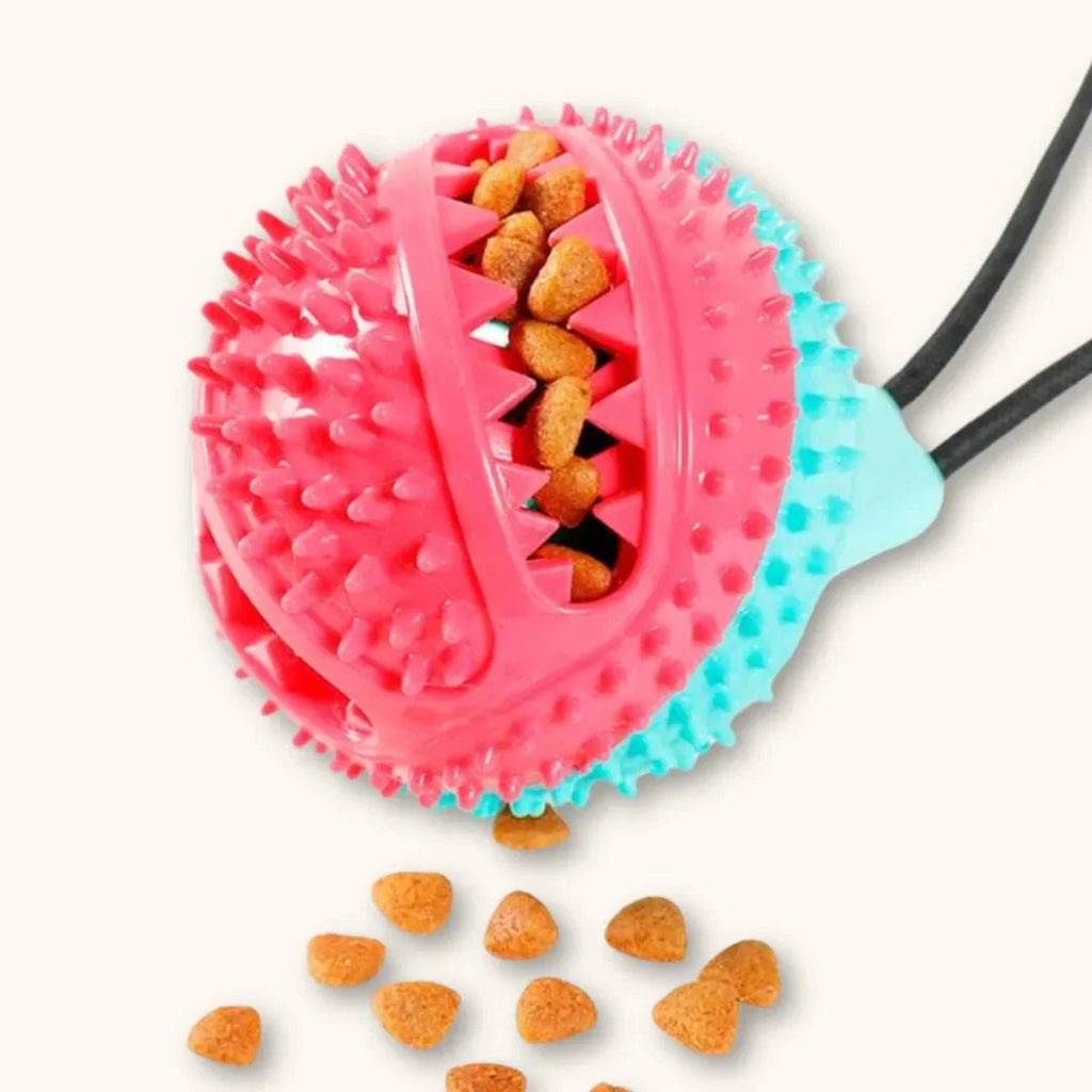 Jouet Corde Chien - CordOmax : Seul ou à Deux