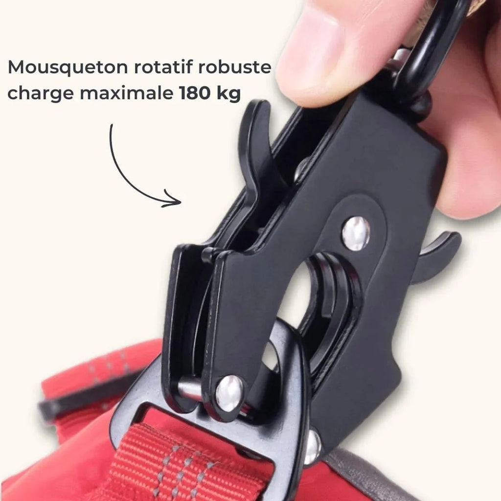 Laisse amortisseur pour chien ShockSafe - Élastique & solide