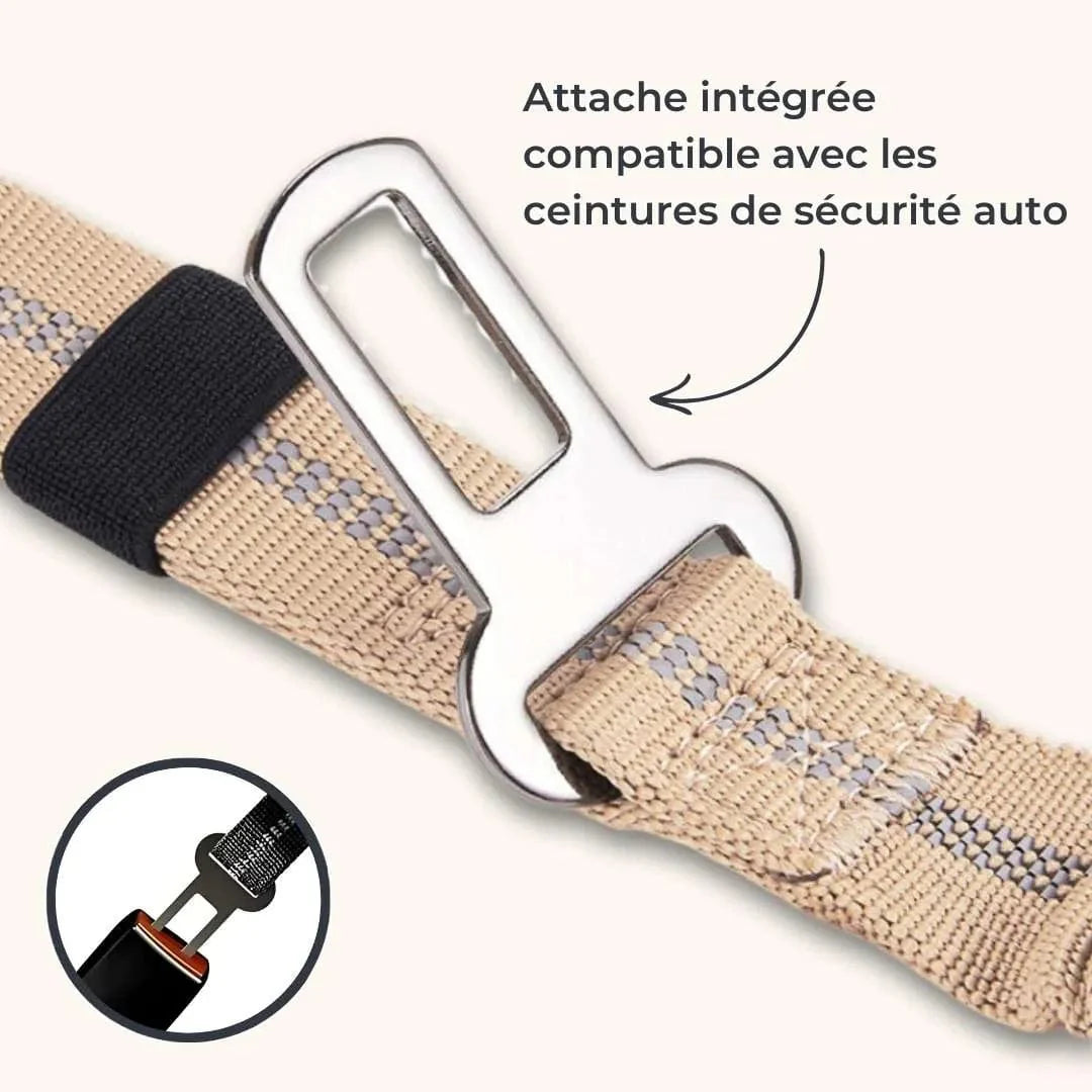 Laisse amortisseur pour chien ShockSafe - Élastique & solide