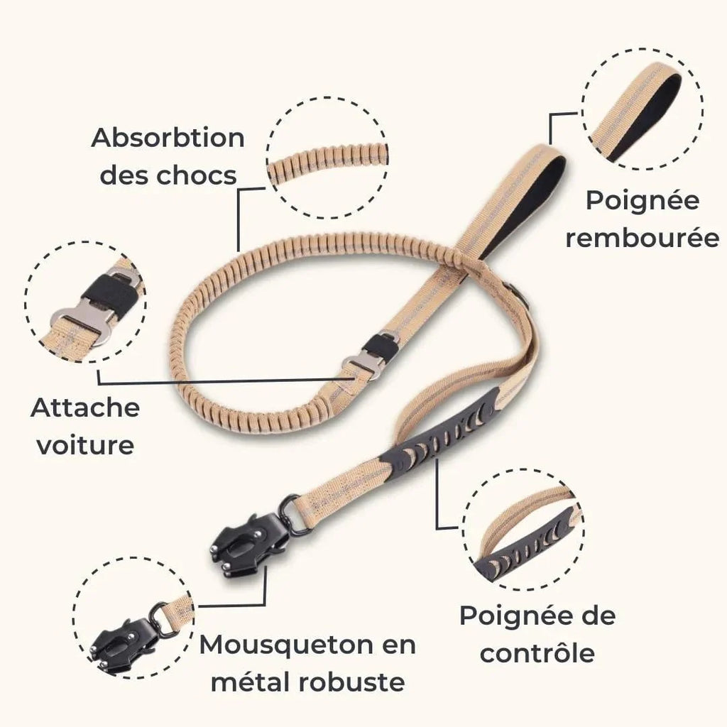 Laisse amortisseur pour chien ShockSafe - Élastique & solide