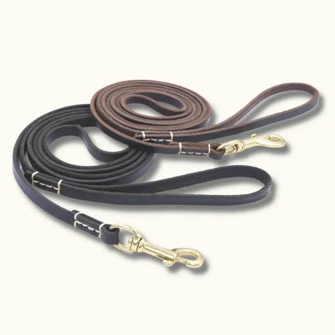 Laisse en cuir petit chien - CuirCraft : artisanale et élégante