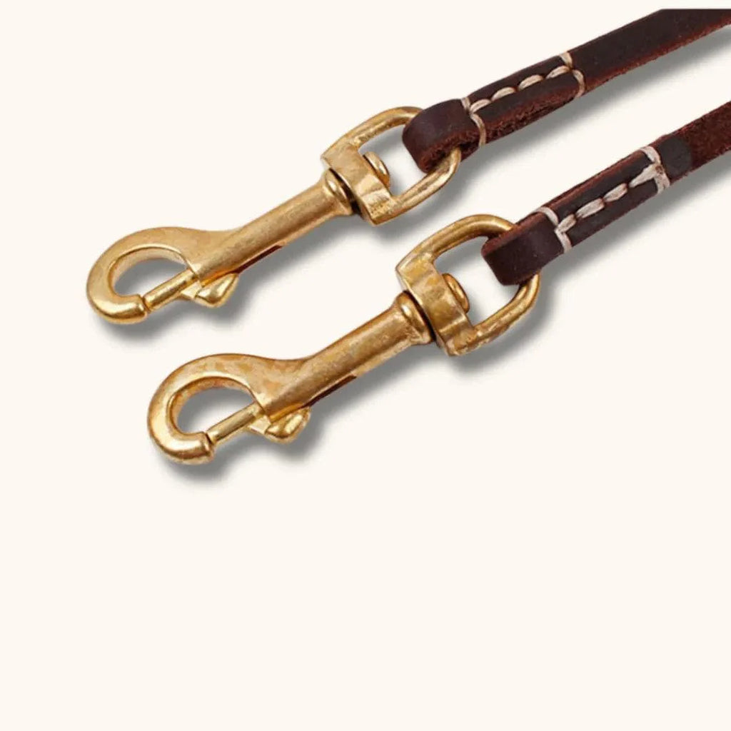 Laisse en cuir petit chien - CuirCraft : artisanale et élégante