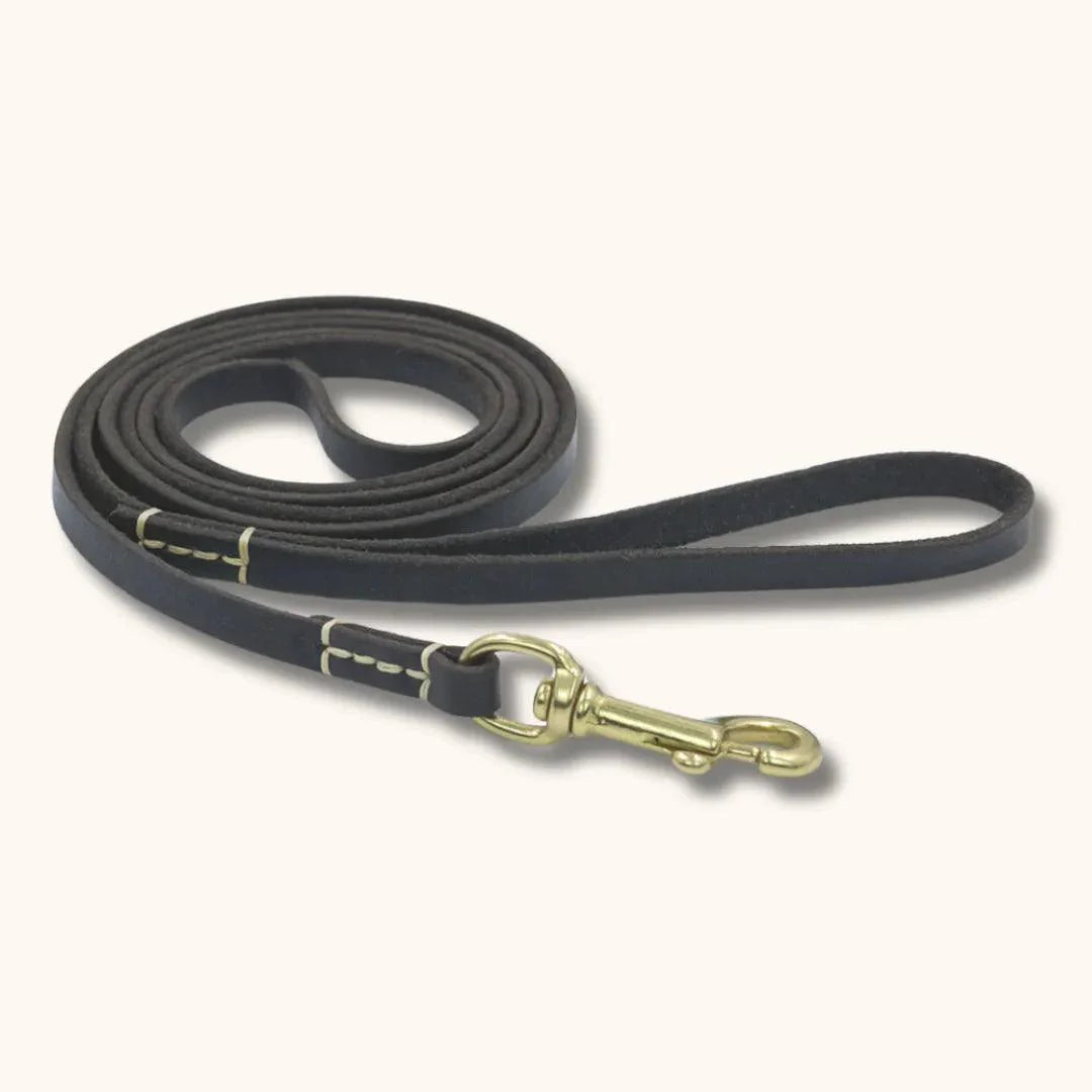 Laisse en Cuir pour Chien - CuirCraft Ébène Royale