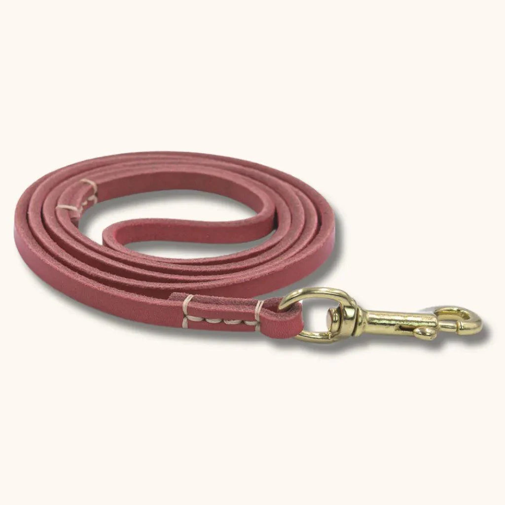 Laisse en Cuir pour Chien - CuirCraft Rouge Terra Cotta