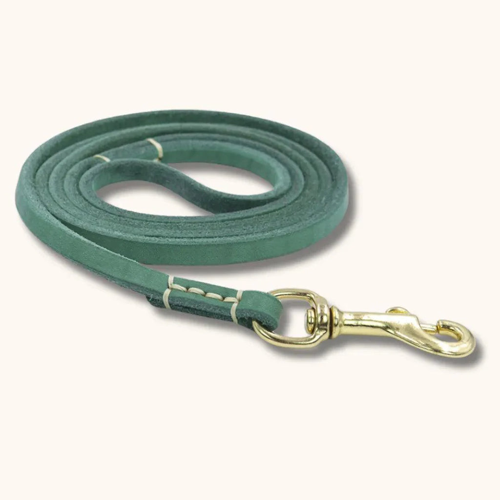 Laisse en Cuir pour Chien - CuirCraft Vert Forêt Sauvage