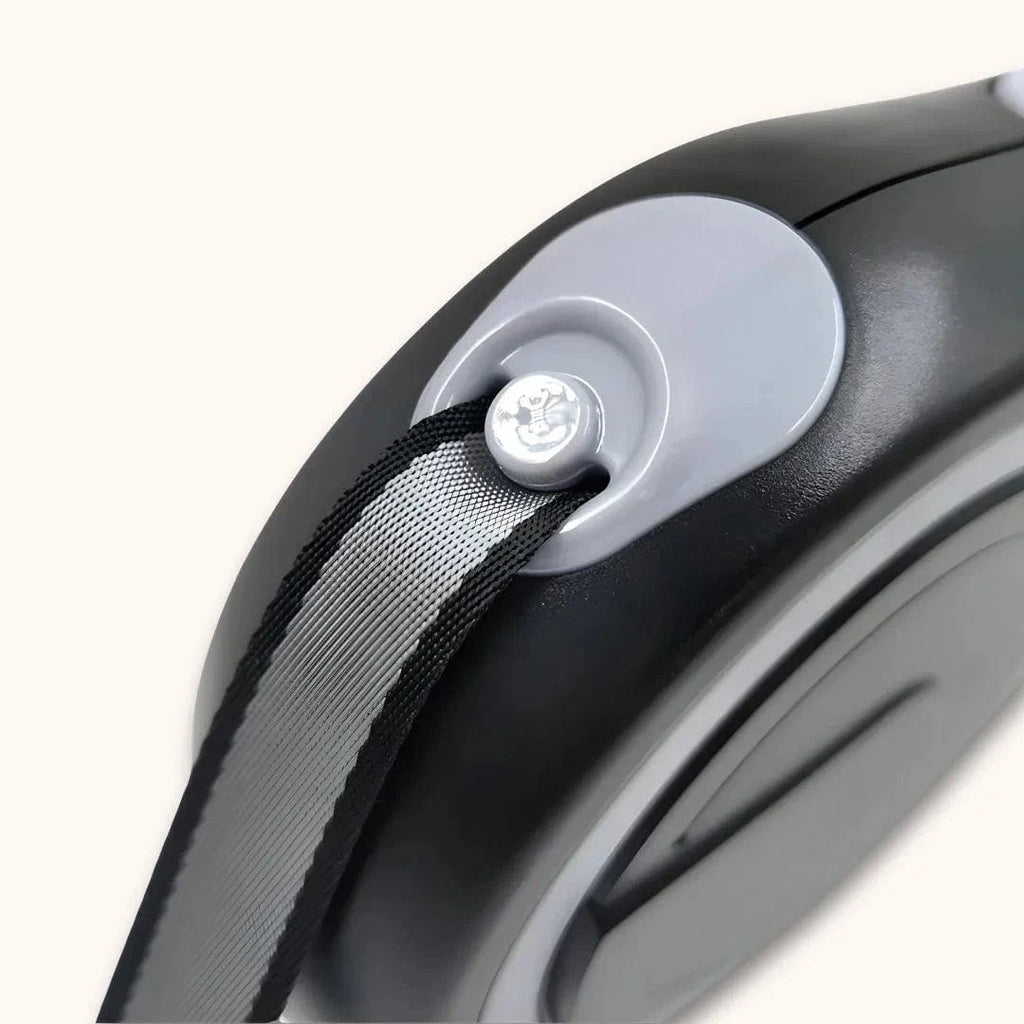 Laisse enrouleur pour gros chien – Rétractable 5m / 8m