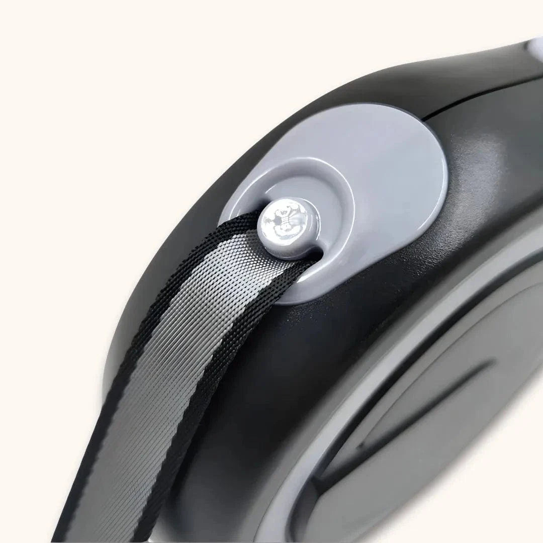 Laisse enrouleur pour gros chien – Rétractable 5m / 8m