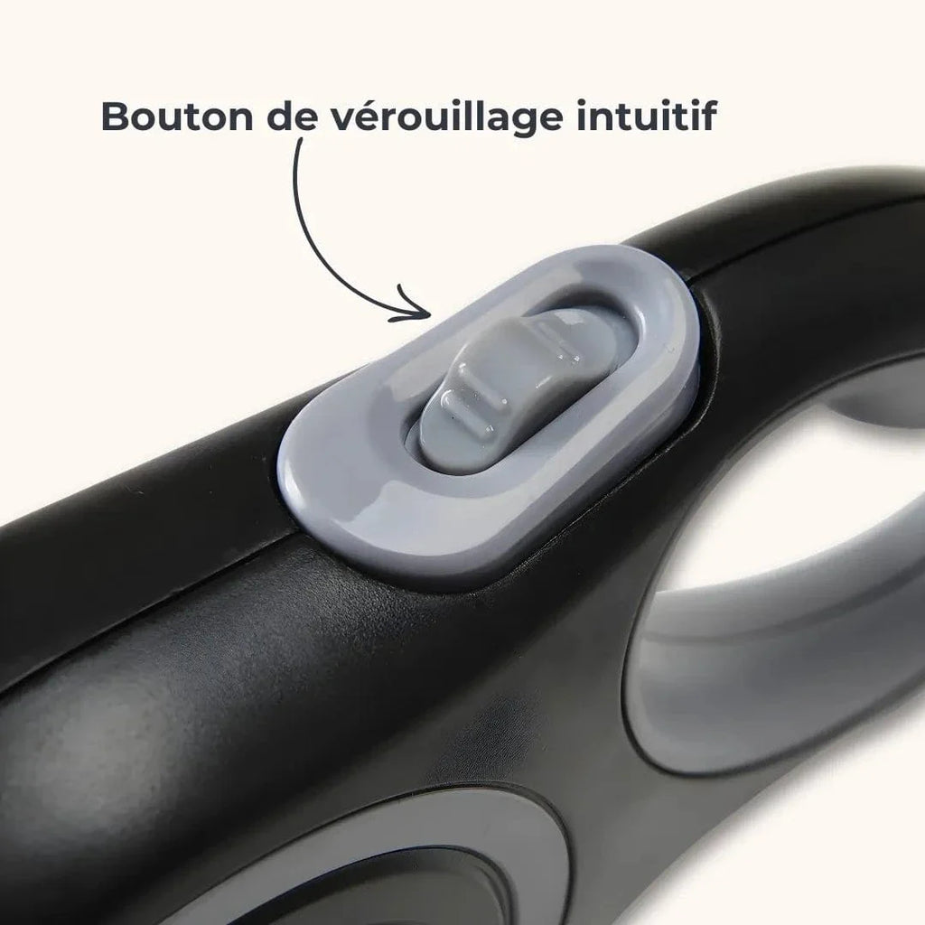 Laisse enrouleur pour gros chien – Rétractable 5m / 8m