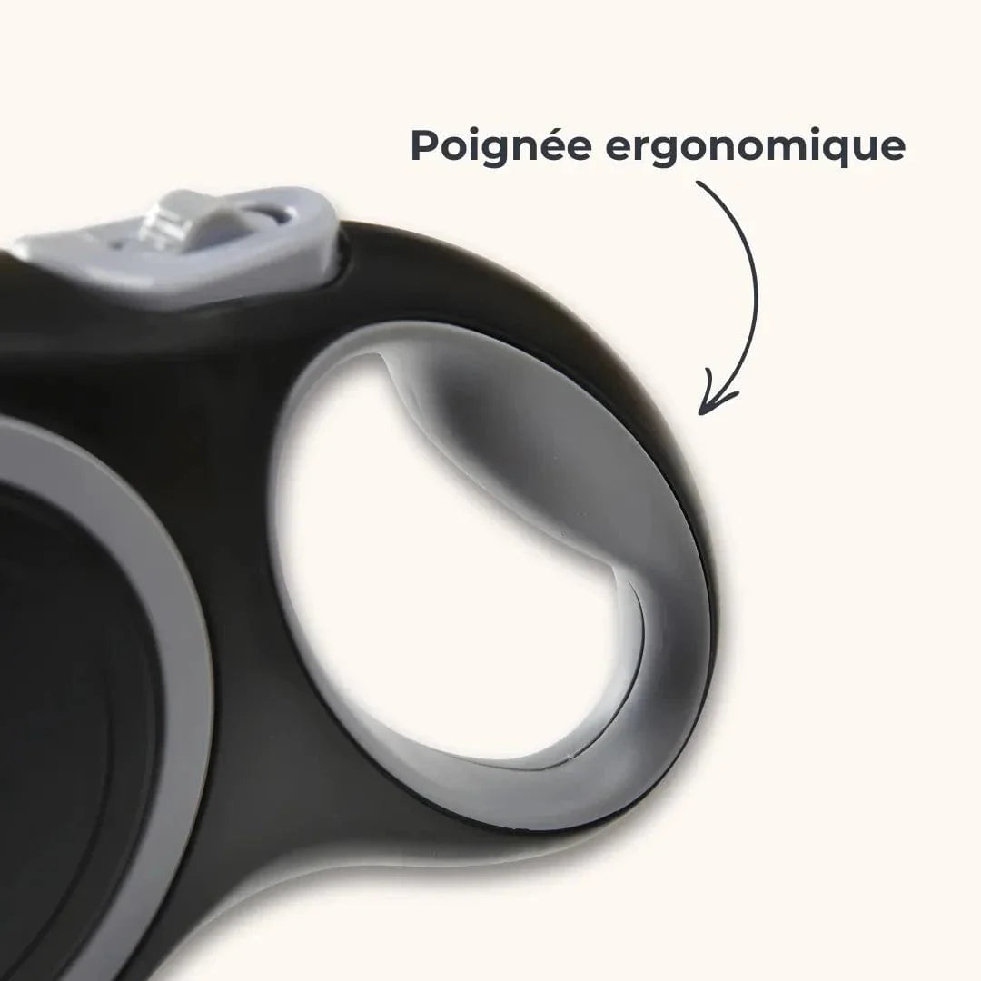 Laisse enrouleur pour gros chien – Rétractable 5m / 8m