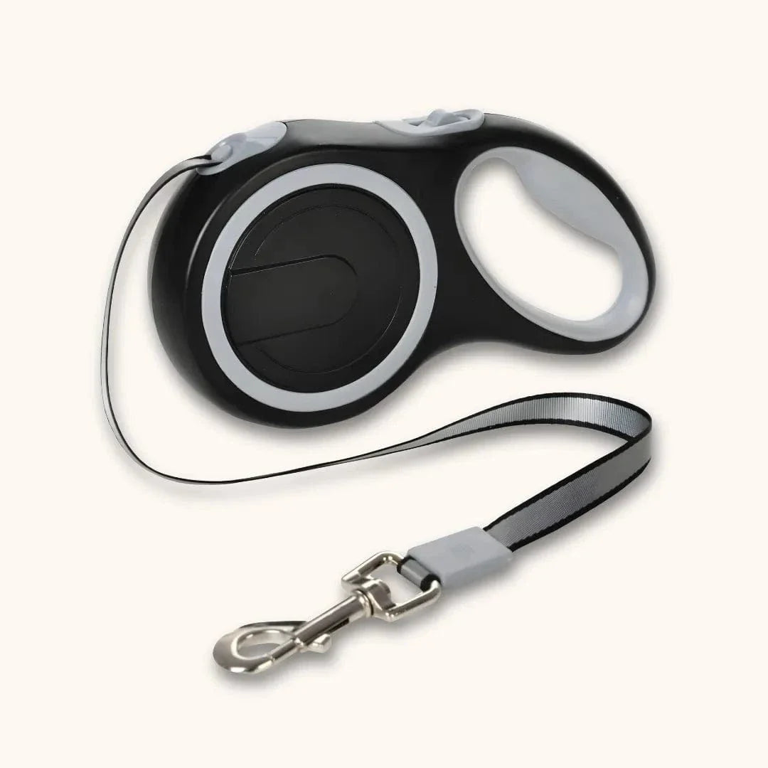Laisse enrouleur pour gros chien – Rétractable 5m / 8m