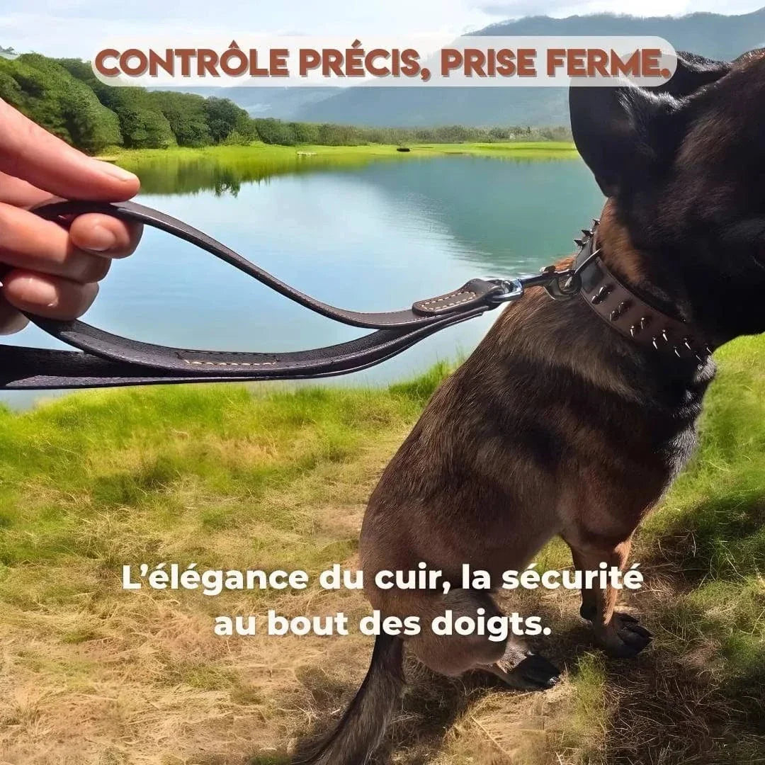Laisse en cuir pour gros chien – Maestro K9 : Contrôle absolu, style inégalé