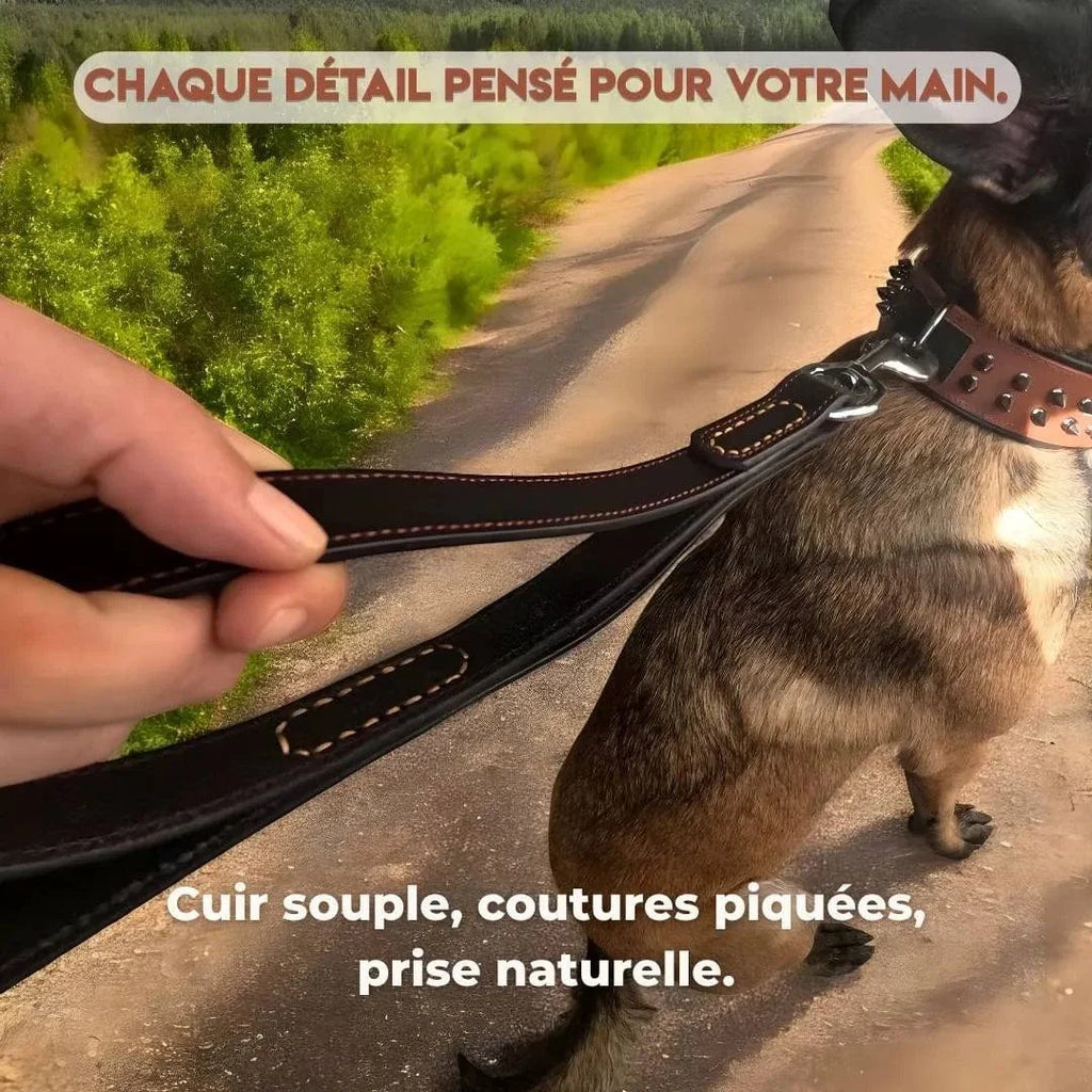 Laisse en cuir pour gros chien – Maestro K9 : Contrôle absolu, style inégalé