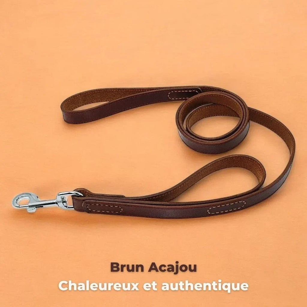 Laisse haut de gamme en cuir pour gros chien, 2 poignées Brun Acajou