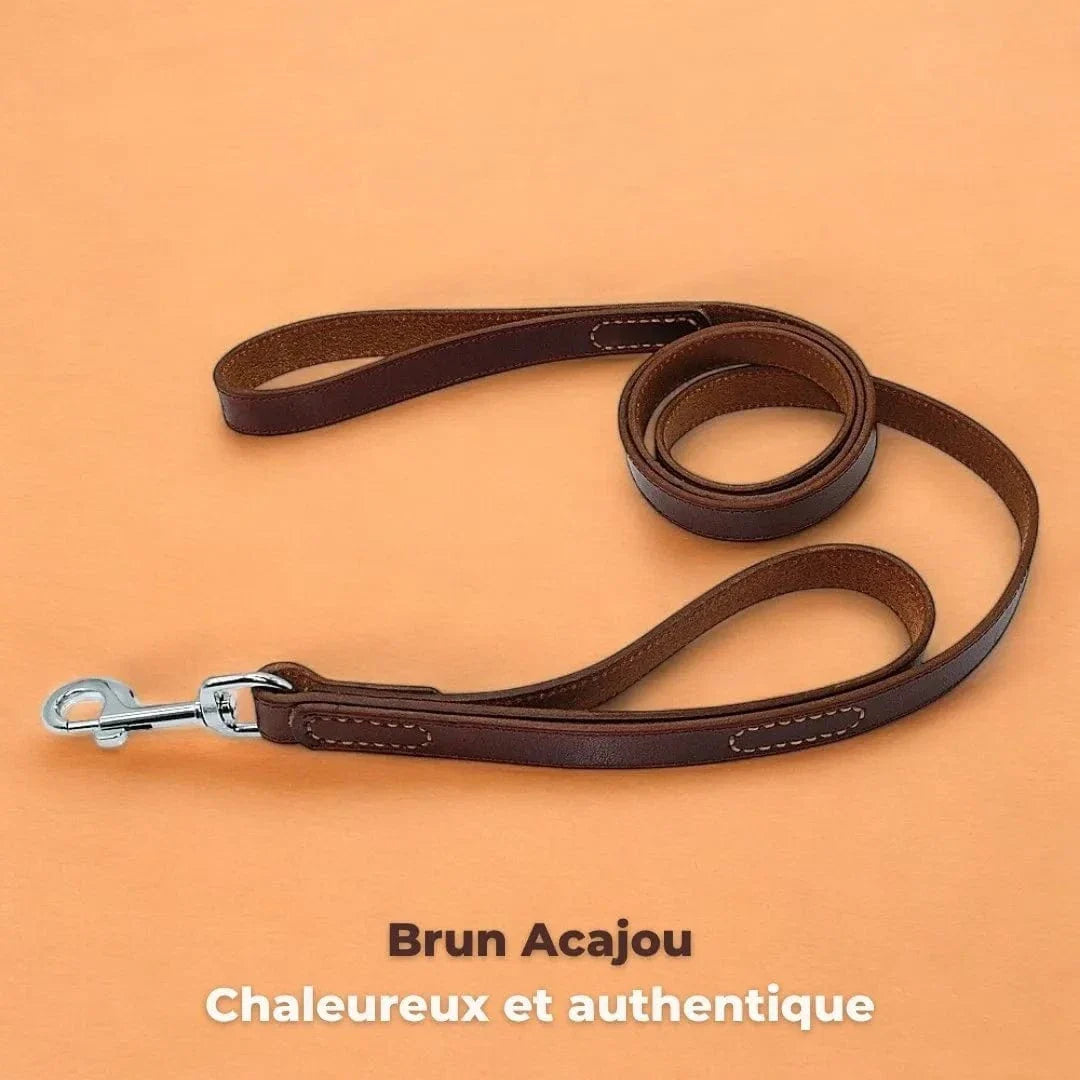 Laisse haut de gamme en cuir pour gros chien, 2 poignées Brun Acajou