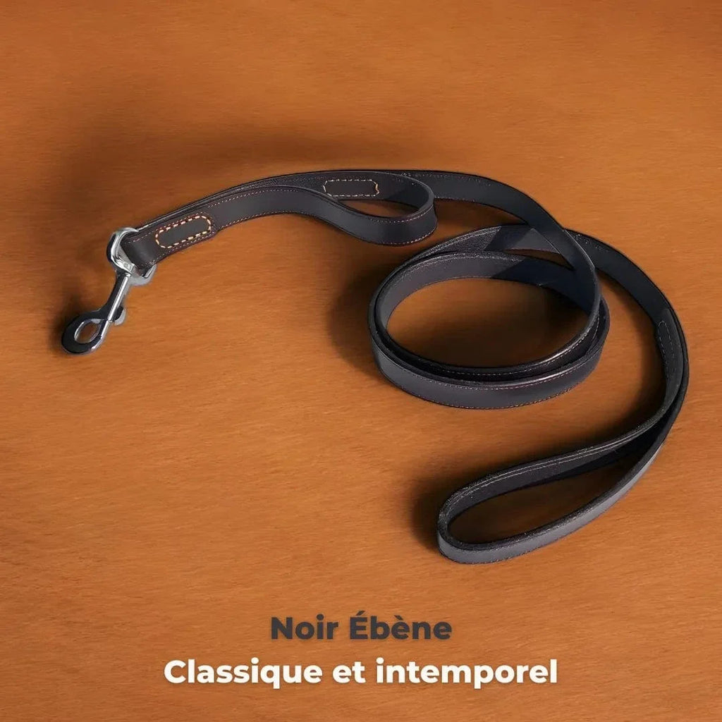 Laisse haut de gamme en cuir pour gros chien, 2 poignées Noir Ébène