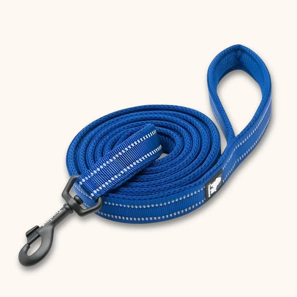 Laisse nylon pour chien 2m - Résistante & réfléchissante Bleu / S