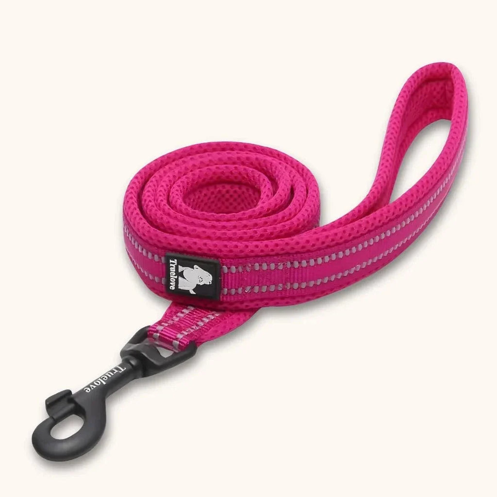 Laisse nylon pour chien 2m - Résistante & réfléchissante Fuchsia / S