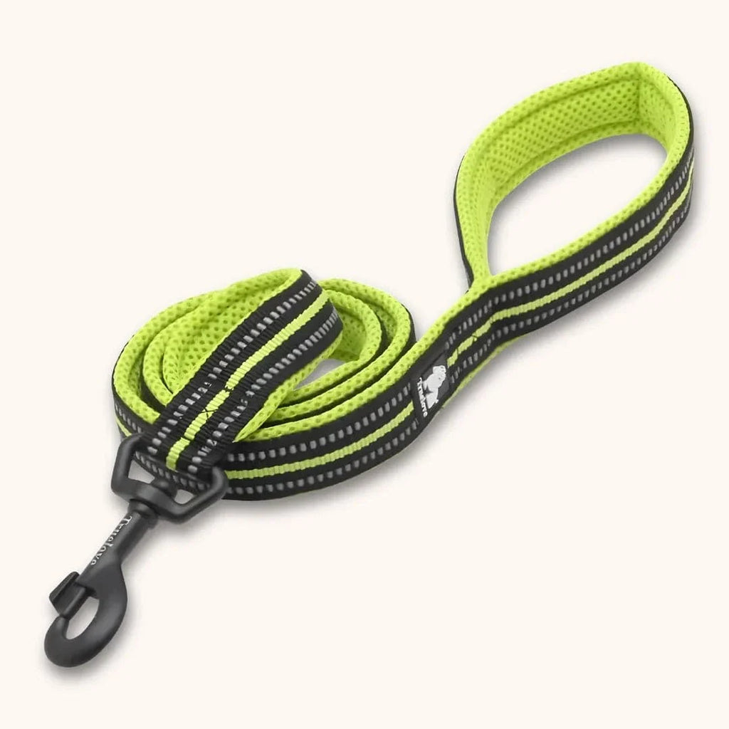 Laisse nylon pour chien 2m - Résistante & réfléchissante Jaune / S