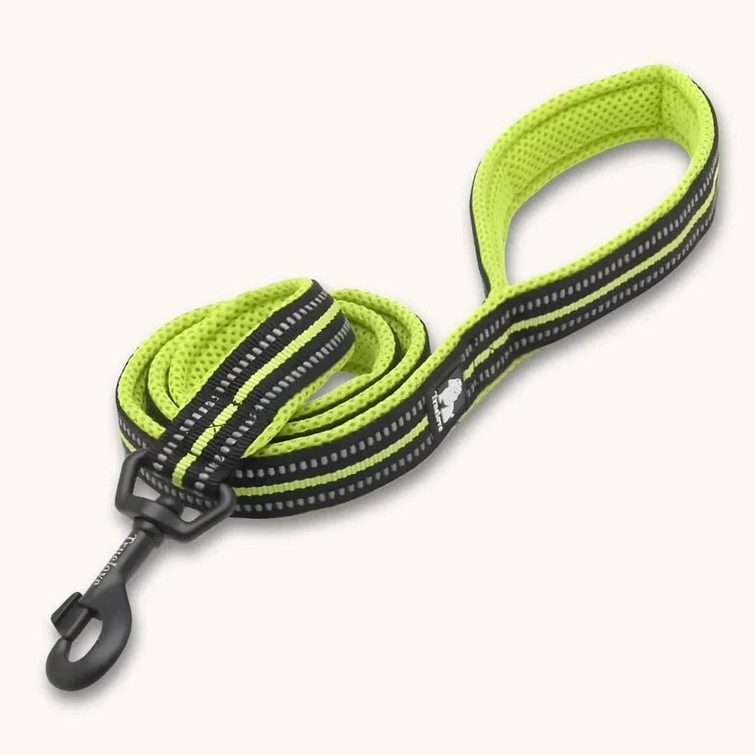 Laisse nylon pour chien 2m - Résistante & réfléchissante Jaune / S