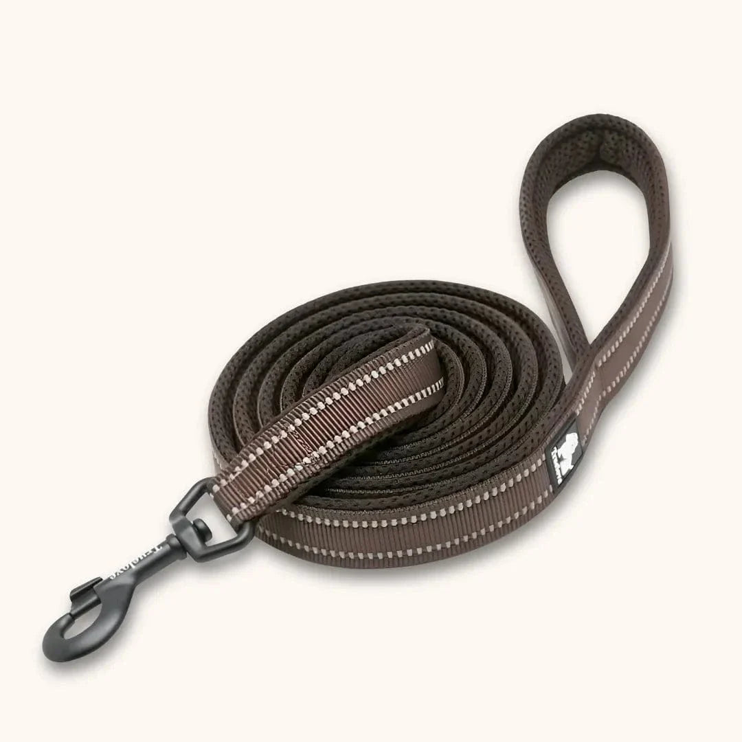 Laisse nylon pour chien 2m - Résistante & réfléchissante Marron / S