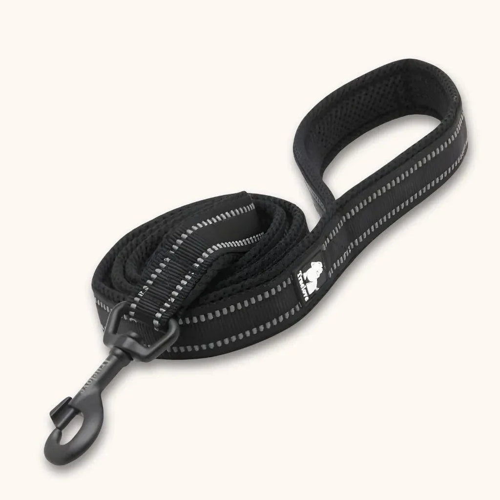 Laisse nylon pour chien 2m - Résistante & réfléchissante Noir / S