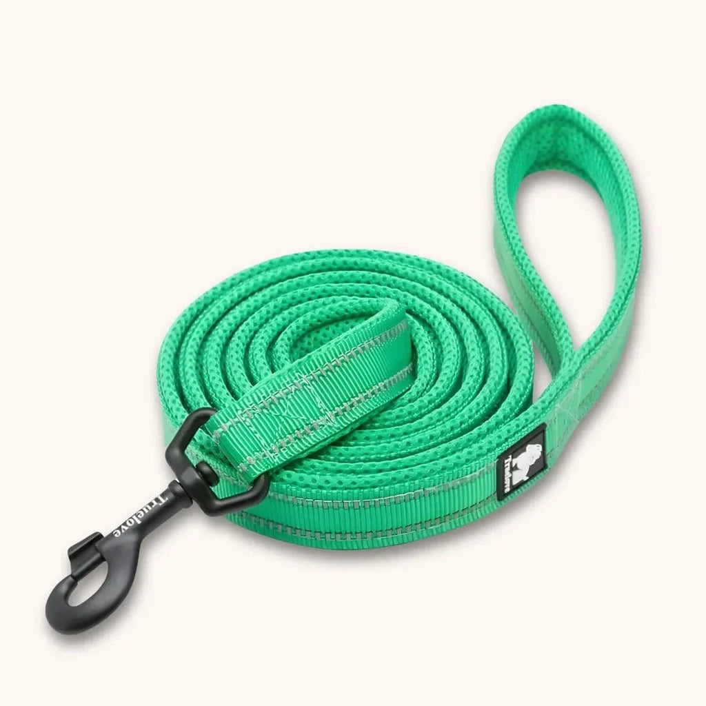 Laisse nylon pour chien 2m - Résistante & réfléchissante Vert / S