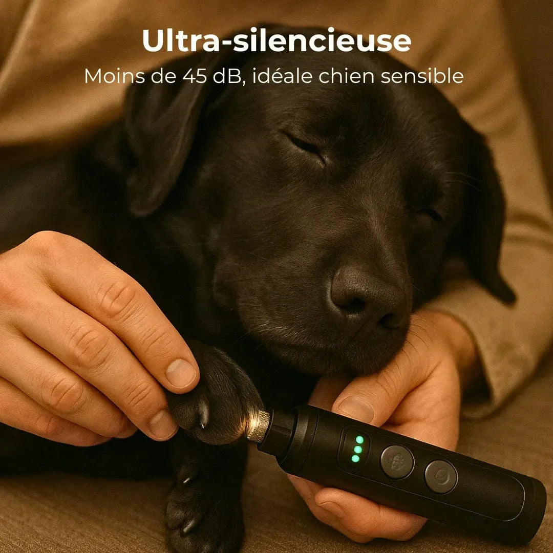 Lime électrique pour griffes - ZenGriff : ultra-silencieuse et sans fil