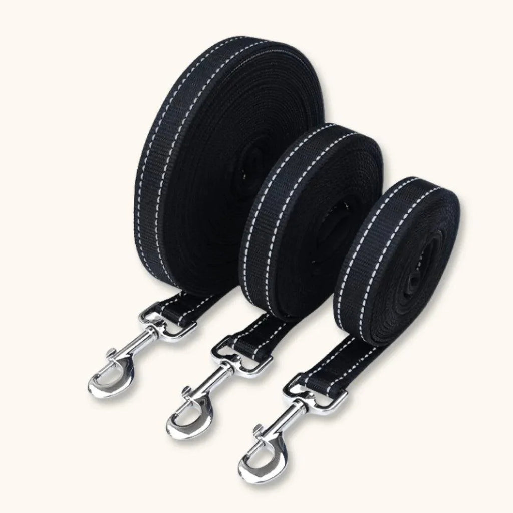 Longe pour Chien - TrailLine : Robuste et Légère