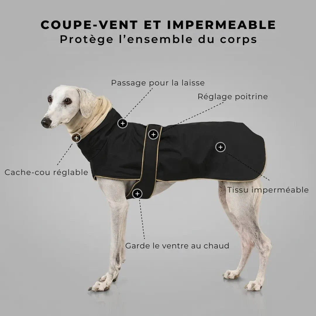 Manteau lévrier imperméable et coupe-vent