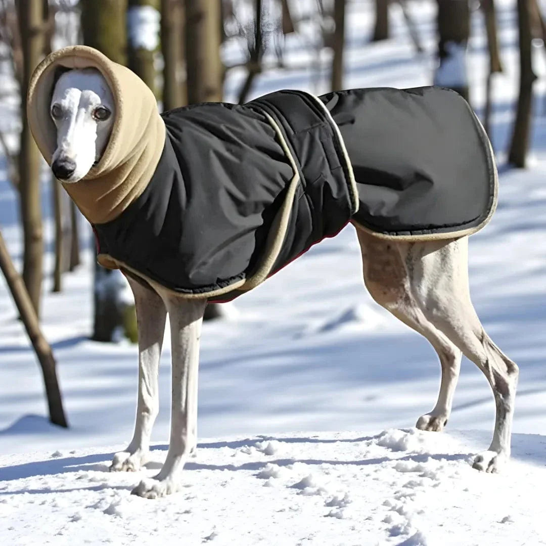 Manteau chaud pour lévrier - Greyhound, Whippet, Galgo Noir / 3XL