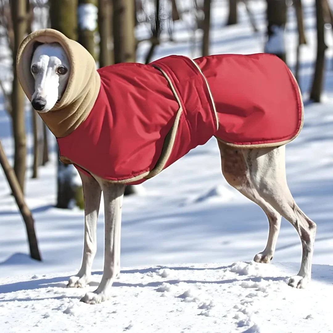 Manteau chaud pour lévrier - Greyhound, Whippet, Galgo Rouge / 3XL