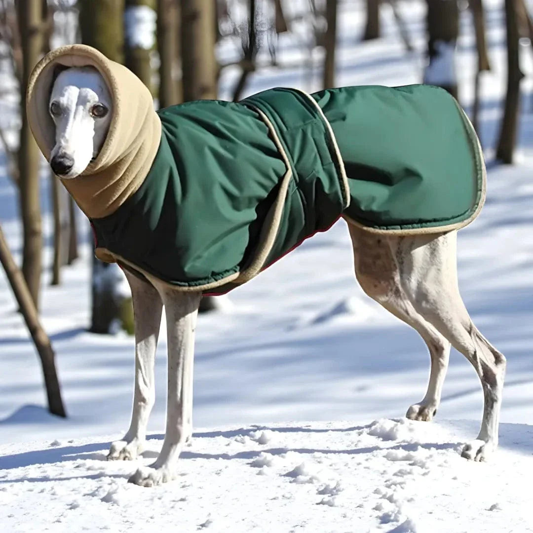 Manteau chaud pour lévrier - Greyhound, Whippet, Galgo Vert / 3XL