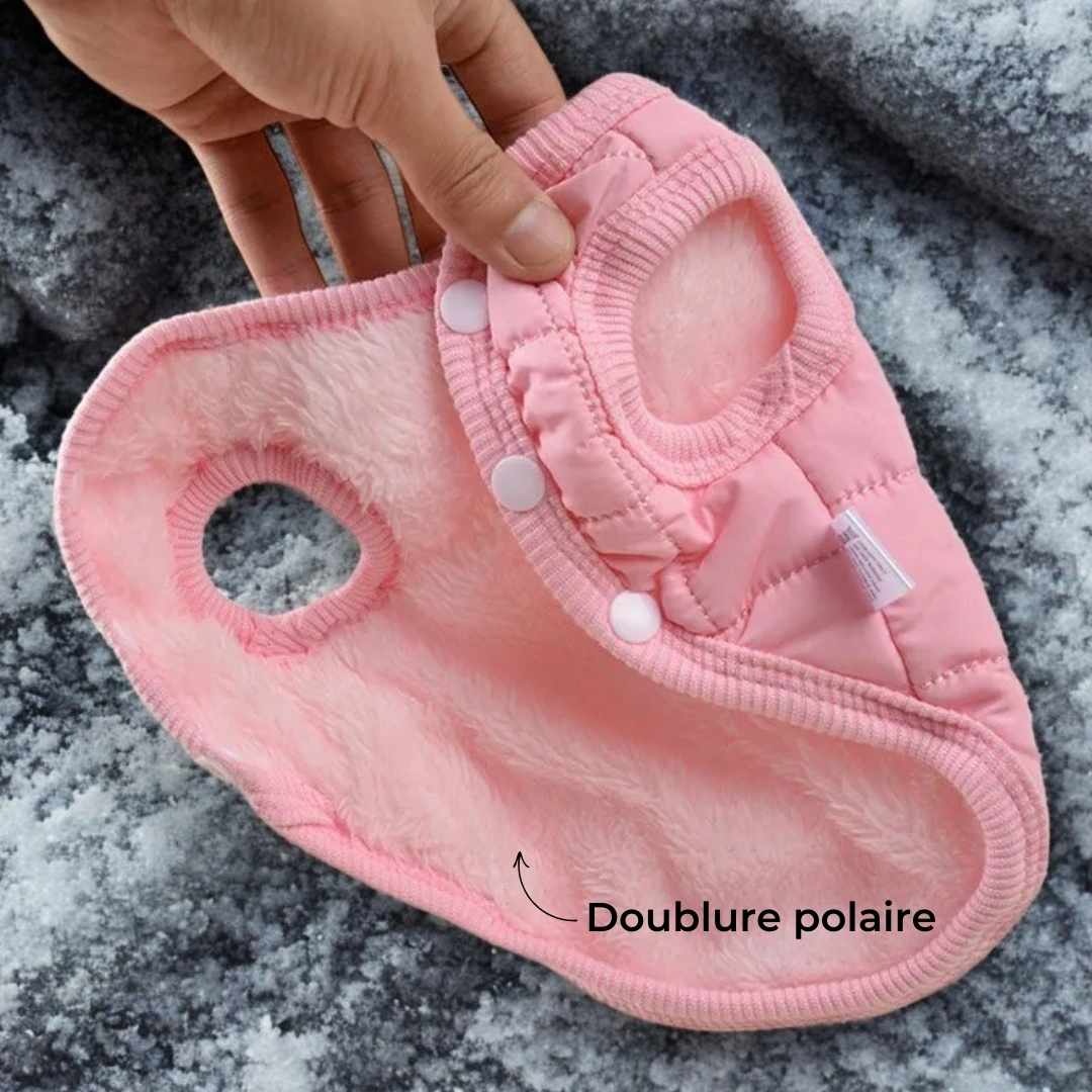 Manteau Chihuahua : douceur et confort pour les temps frais